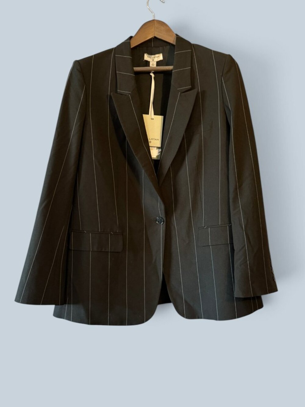 Nili Lotan x Target Pinstripe Classic Blazer Anthracite NWT XL